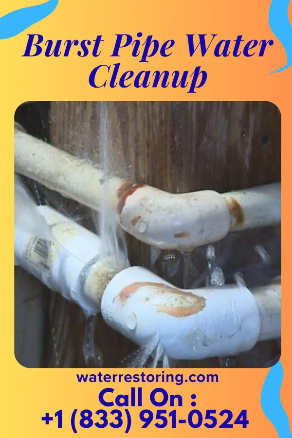 Burst Pipe Water Cleanup in Chase City, VA