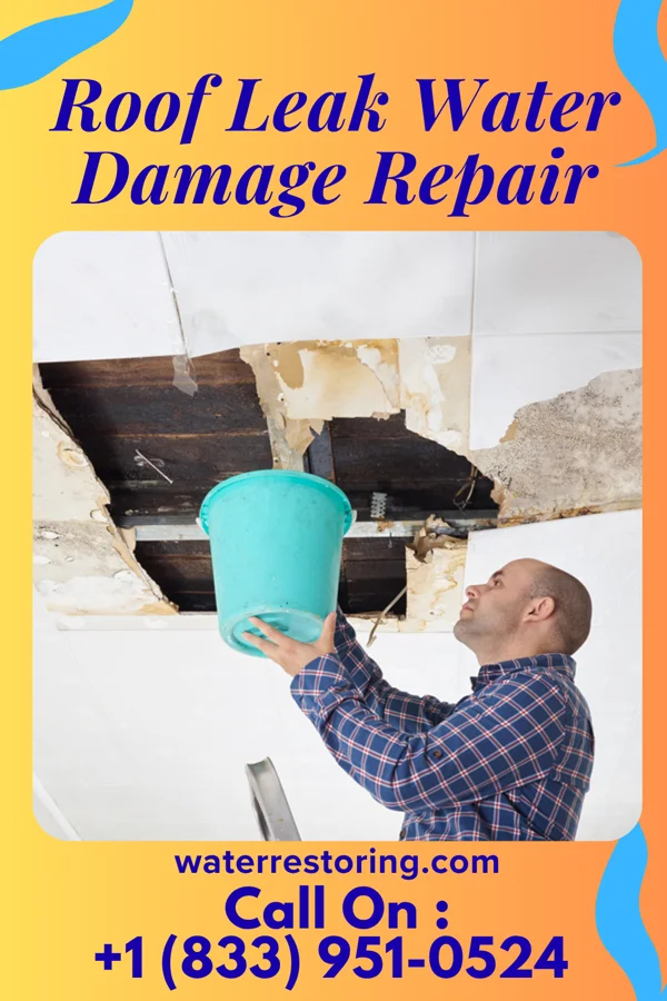 Roof Leak Water Damage Repair in Chase City, VA