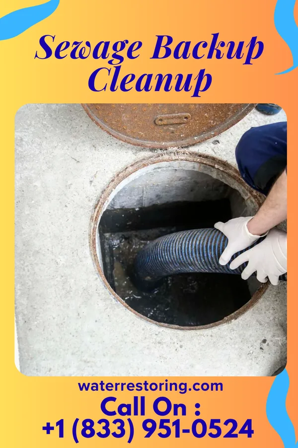 Sewage Backup Cleanup in Chase City, VA