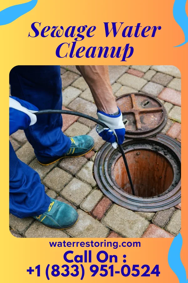 Sewage Water Cleanup in Chase City, VA